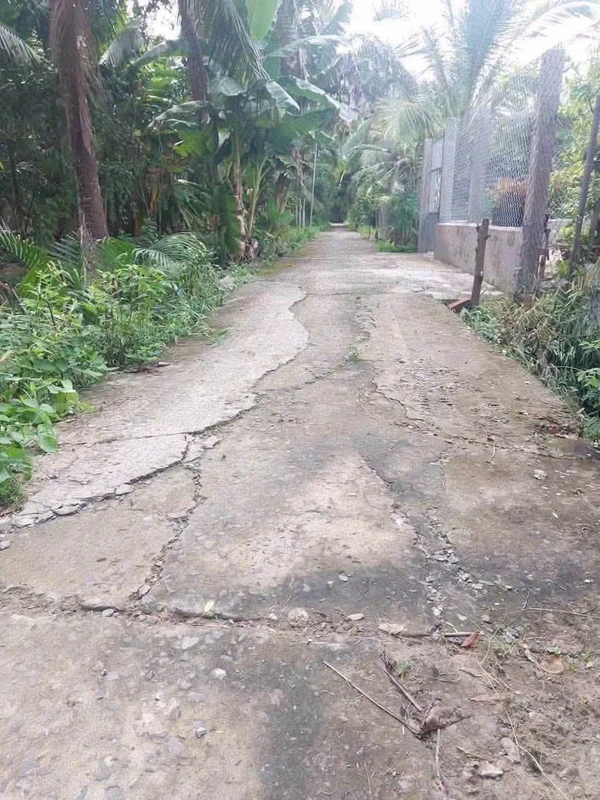 Bán đất nền biệt thự 400m2 có 70m2 thổ cư tại xã Phú Nhuận, TP Bến Tre
