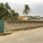 Đất có sổ đỏ đang sử dụng trồng hoa màu - Ảnh thu nhỏ 1