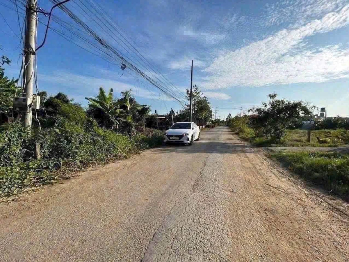 Bán lô đất thổ cư mặt tiền Đỗ Tường Tự, Tân An, Long An, 155m2, 1 tỷ 2 - Ảnh 1