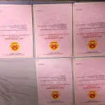 Đất thổ, đã tách 5 sổ, TP Vĩnh Long - Ảnh thu nhỏ 4