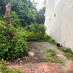 Bán đất mặt tiền Mạc Đỉnh Chi, Tân An, 145m² - Ảnh thu nhỏ 2