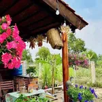 Bán đất vườn 800 m2 tại Hàm Liêm, Phan Thiết, Bình Thuận - Ảnh thu nhỏ 3