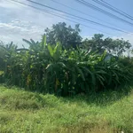 Bán đất Hòa Khánh Cần Giờ 500m² giá 3 tỷ 550 - Ảnh thu nhỏ 5