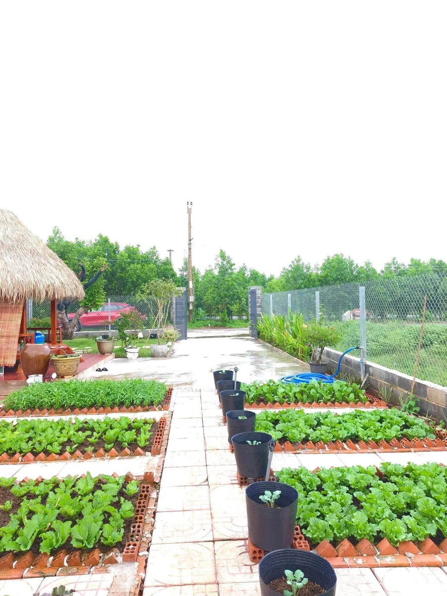 Bán đất mặt tiền 350m² Long Tân, Nhà Bè - 1,75 tỷ - Ảnh thu nhỏ 4