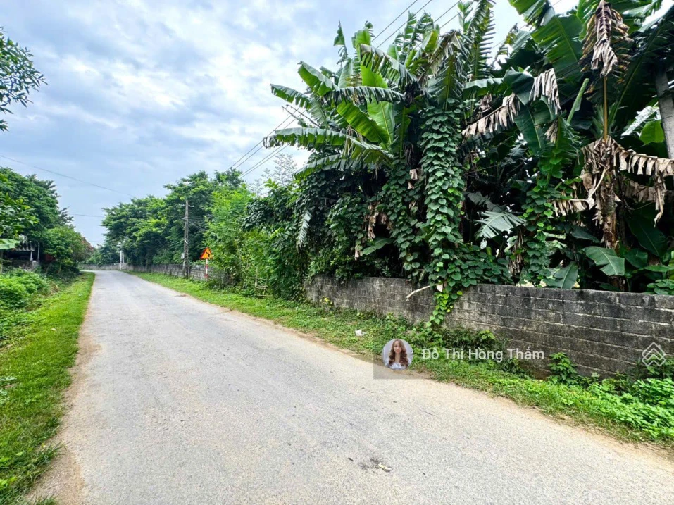 Chủ cần bán 1290m² tại Thanh Sơn, bám trục đường nhựa liên xã làm nghỉ dưỡng giá rẻ chỉ 3,7tr/m² - Ảnh thu nhỏ 5