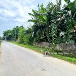 Chủ cần bán 1290m² tại Thanh Sơn, bám trục đường nhựa liên xã làm nghỉ dưỡng giá rẻ chỉ 3,7tr/m² - Ảnh thu nhỏ 5