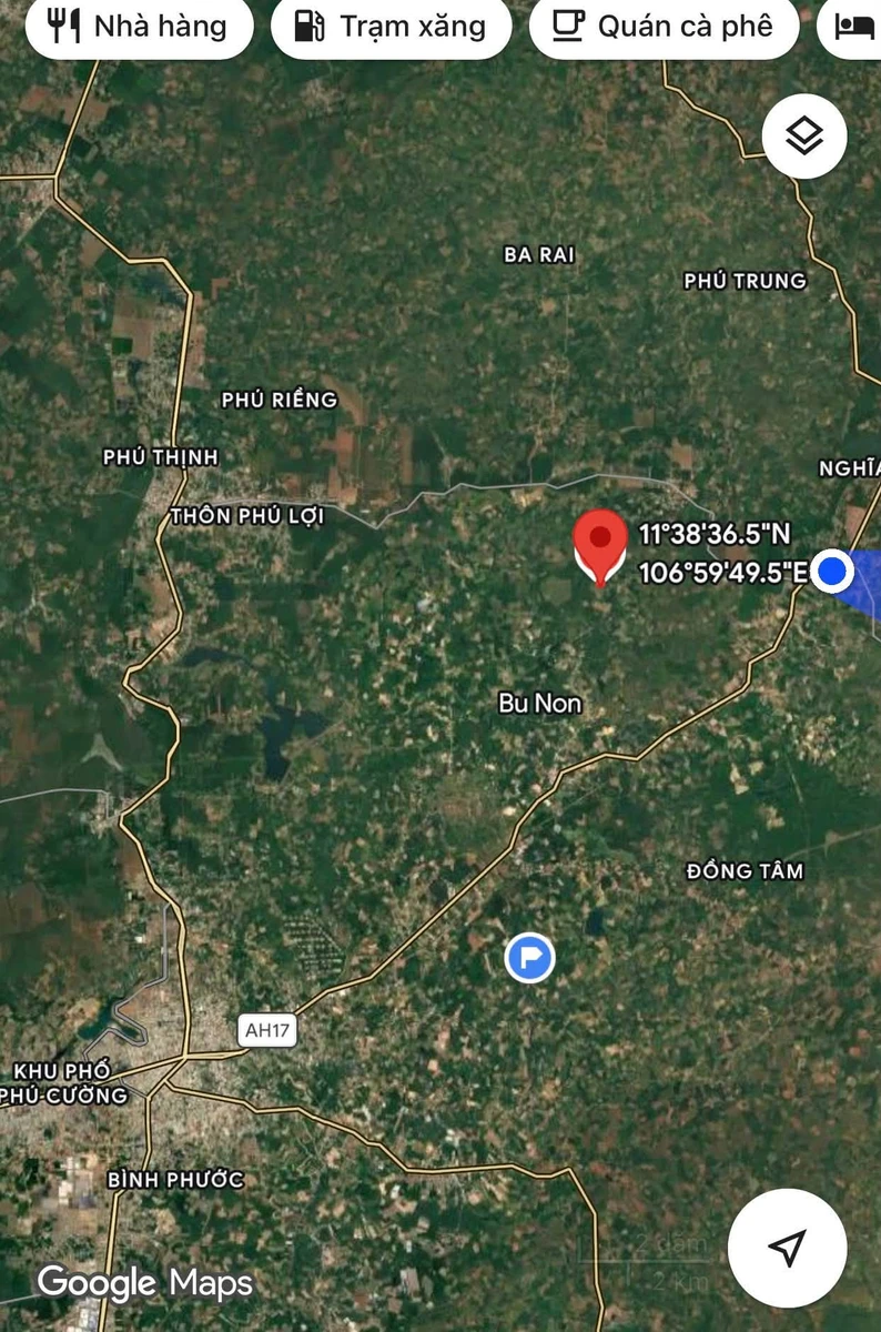 Bán đất cao su 6 sào mặt tiền 160m tại Đồng Tâm Bình Phước - Ảnh thu nhỏ 4