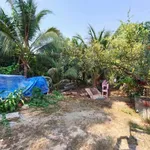 Bán đất Bình Lợi Vĩnh Cửu 412m2 sổ riêng 2 tỷ 1 - Ảnh thu nhỏ 1