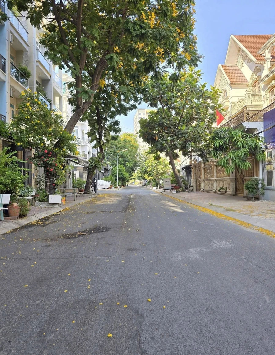 Bán biệt thự 4 tầng 232m² Gò Vấp, 36 tỷ - Ảnh thu nhỏ 2
