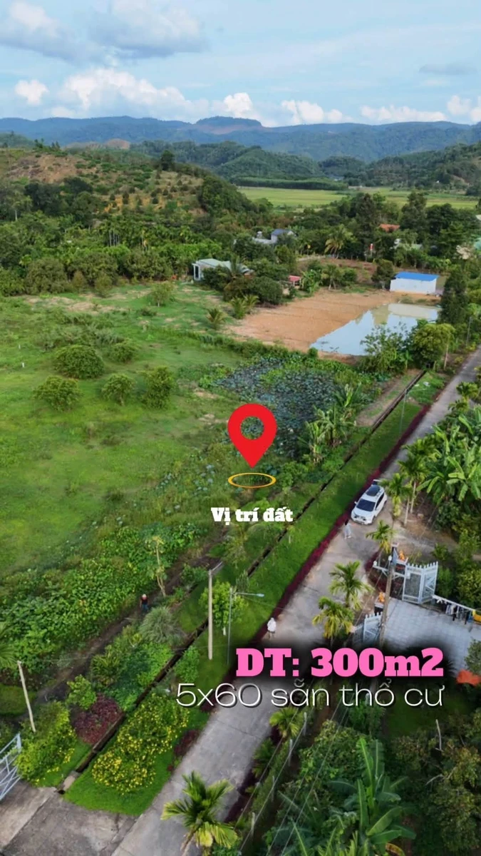 Bán đất Đạ Tẻh Lâm Đồng 300m2 giá 289 triệu - Ảnh thu nhỏ 3