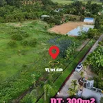 Bán đất Đạ Tẻh Lâm Đồng 300m2 giá 289 triệu - Ảnh thu nhỏ 3