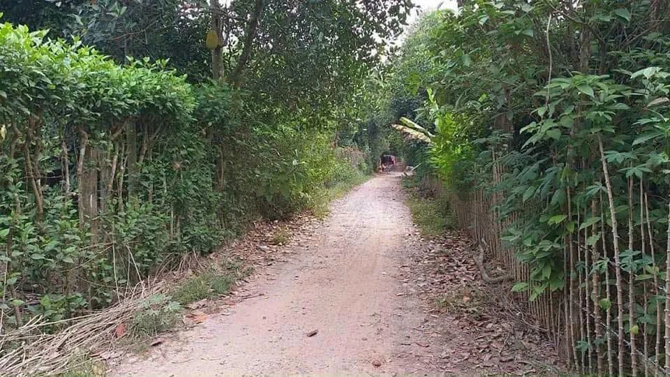 Bán lô đất vườn 2000m² Tân An 5 tỷ - Ảnh thu nhỏ 4