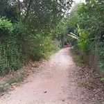 Bán lô đất vườn 2000m² Tân An 5 tỷ - Ảnh thu nhỏ 4