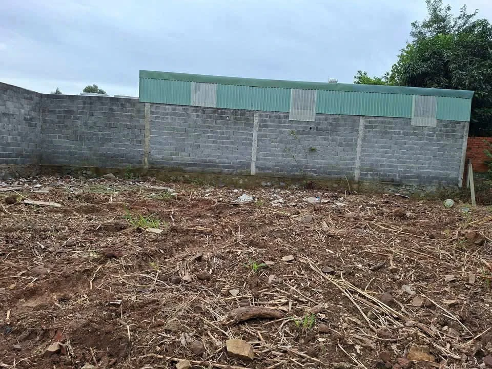 Bán đất Phước Hưng Bà Rịa 164m2 giá 2 tỷ 050 triệu - Ảnh thu nhỏ 4