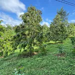 Bán đất 5000m² Trần Quý Cáp view hồ EaTam 7 tỷ 5 - Ảnh thu nhỏ 5