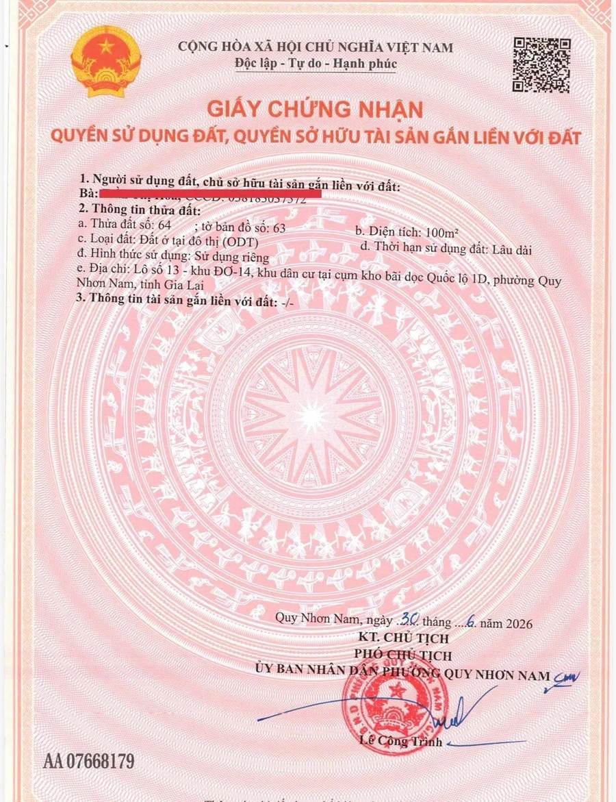 Bán đất mặt tiền 100m² Tây Sơn Quy Nhơn - Ảnh thu nhỏ 5