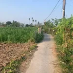 Bán 2 nền liền kề Gò Công Đông 924m² giá 599 triệu - Ảnh thu nhỏ 1