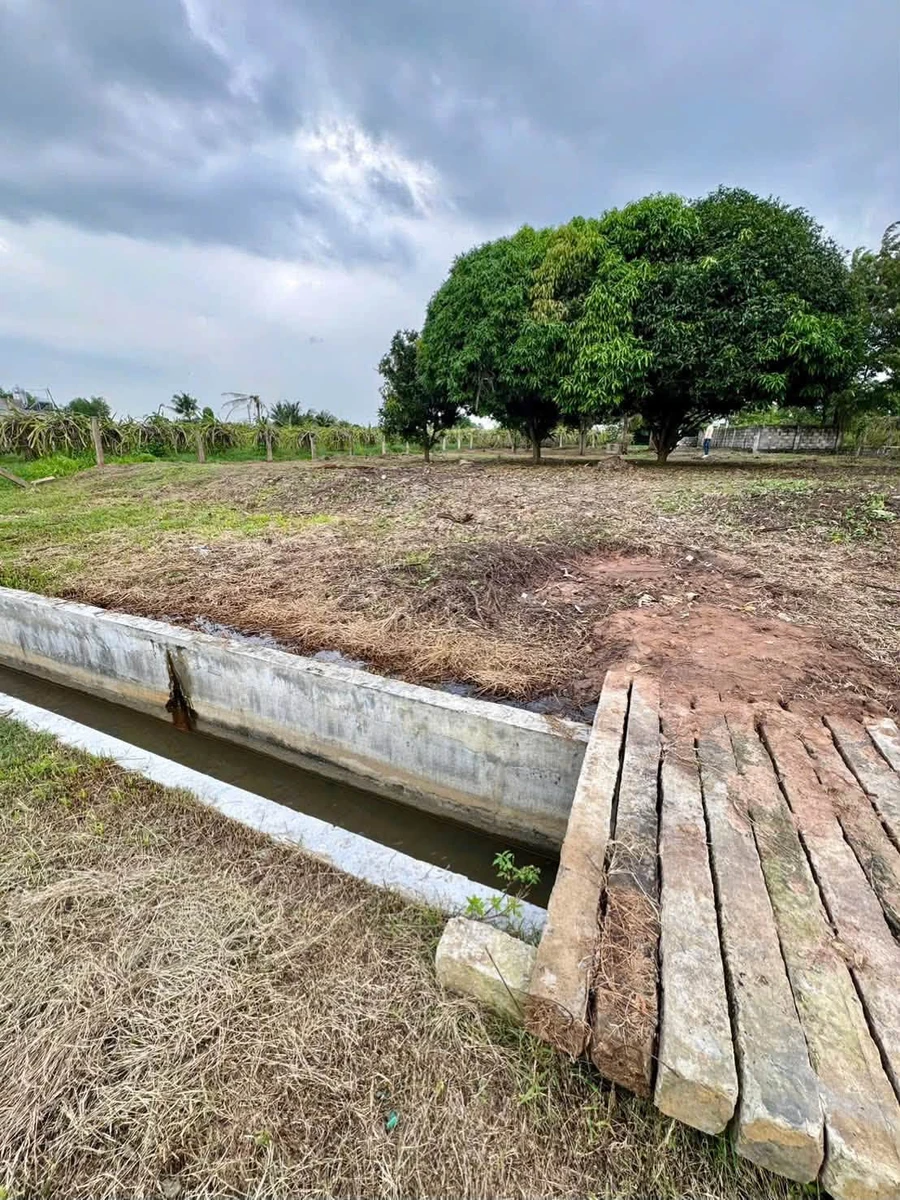 Bán 1000m2 đất ở Hàm Liêm, Bình Thuận, 550 triệu - Ảnh thu nhỏ 3