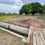 Bán 1000m2 đất ở Hàm Liêm, Bình Thuận, 550 triệu - Ảnh thu nhỏ 3