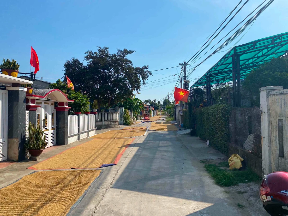 Bán lô đất 168m² An Đông, Ái Nghĩa 900 triệu - Ảnh thu nhỏ 3