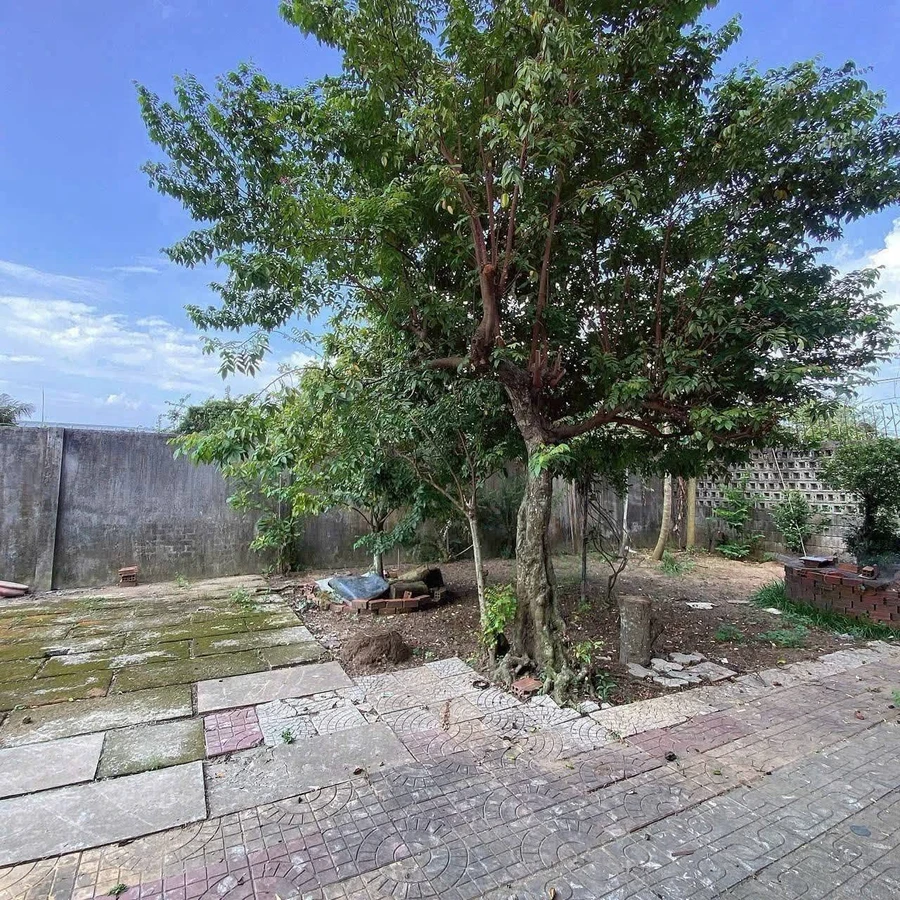 Bán đất 730m² mặt tiền 20m, Bến Tre, 2.2 tỷ - Ảnh thu nhỏ 5