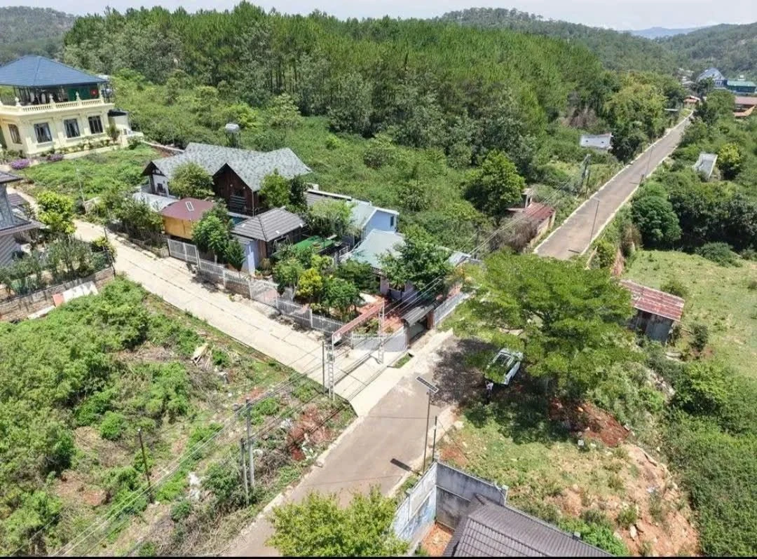 Bán đất Măng Lin Đà Lạt 300m2 2 mặt tiền 9,5 tỷ - Ảnh 1
