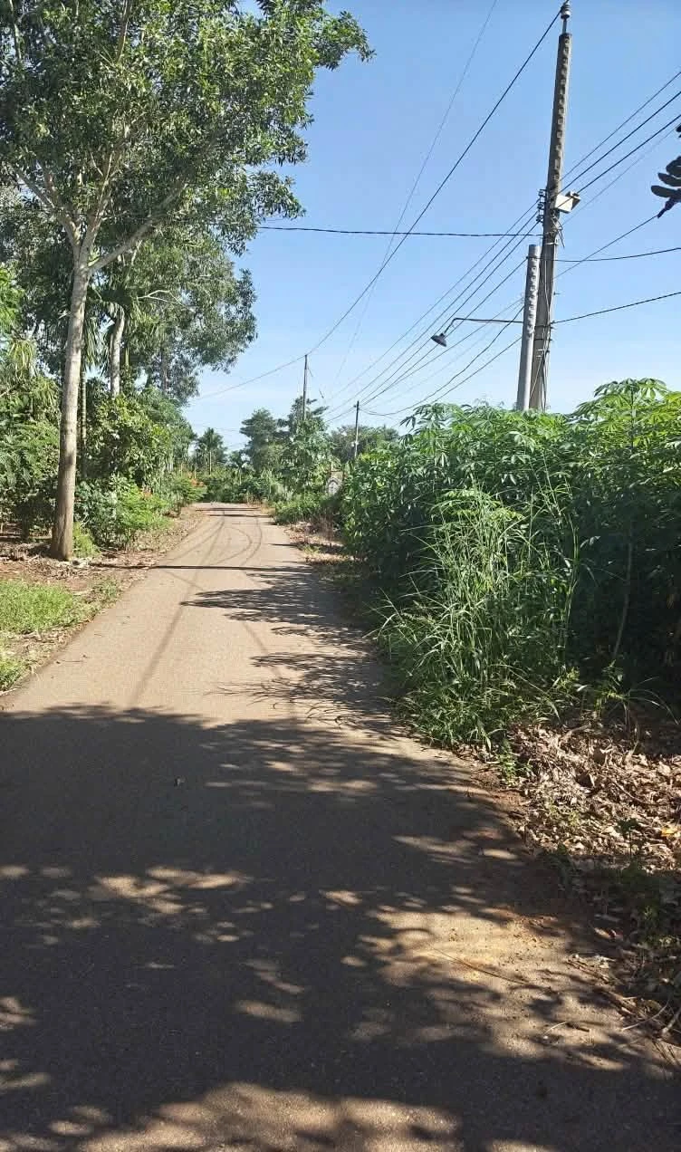 Bán đất 1400 m² 2 mặt tiền Xuân Tây Cẩm Mỹ Đồng Nai - Ảnh 1