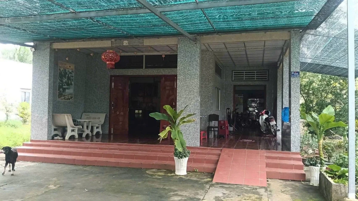 Bán vườn dừa 12 công (1,2 mẫu) có 200m2 thổ cư, tặng nhà cấp 4 tại Châu Bình, Giồng Trôm, Bến Tre - Ảnh thu nhỏ 3