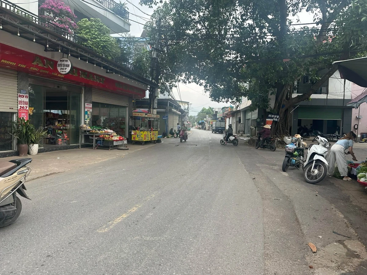 Bán đất thổ cư 100m2 Kim Anh, Vĩnh Phúc 3,4 tỷ - Ảnh thu nhỏ 5