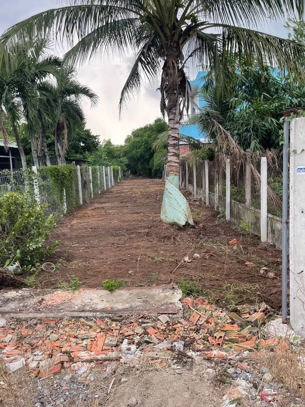 Bán đất 1098m2 full thổ cư Xã Đức Lập, Tây Ninh