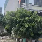 Bán lô đất 46,7m² giáp chợ Phú Lương, Hải Dương, 1 tỷ 3 - Ảnh thu nhỏ 1