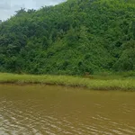 Bán lô đất rẫy view hồ 7 ha, Lâm Đồng - Ảnh thu nhỏ 4
