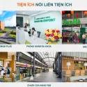 Biệt thự đơn lập 225m2 đối diện clubhouse, khép kín Aqua tại Khu đô thị Waterpoint, chỉ 10,721 tỷ - Ảnh thu nhỏ 33