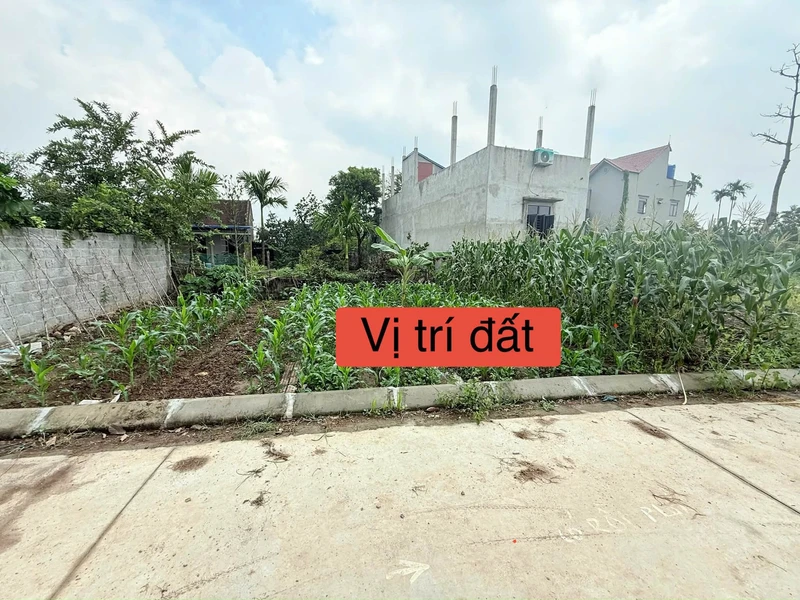 Bán đất 550m² ở xã Thạnh Hoà, Bến Lức, Long An khoa