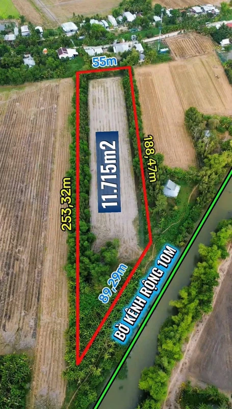 Bán đất ruộng 11.715m² Nguyễn Chánh, An Giang