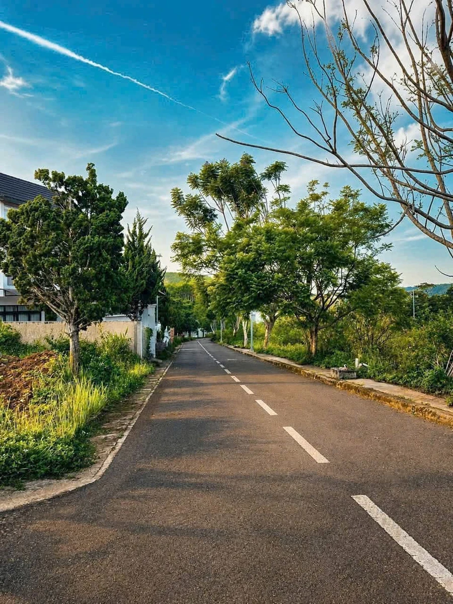 Bán đất xây biệt thự 212,6m² Đà Lạt - Ảnh 1