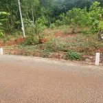 Bán đất mặt tiền đường nhựa, sổ hồng chính chủ, công chứng ngay - Ảnh thu nhỏ 5