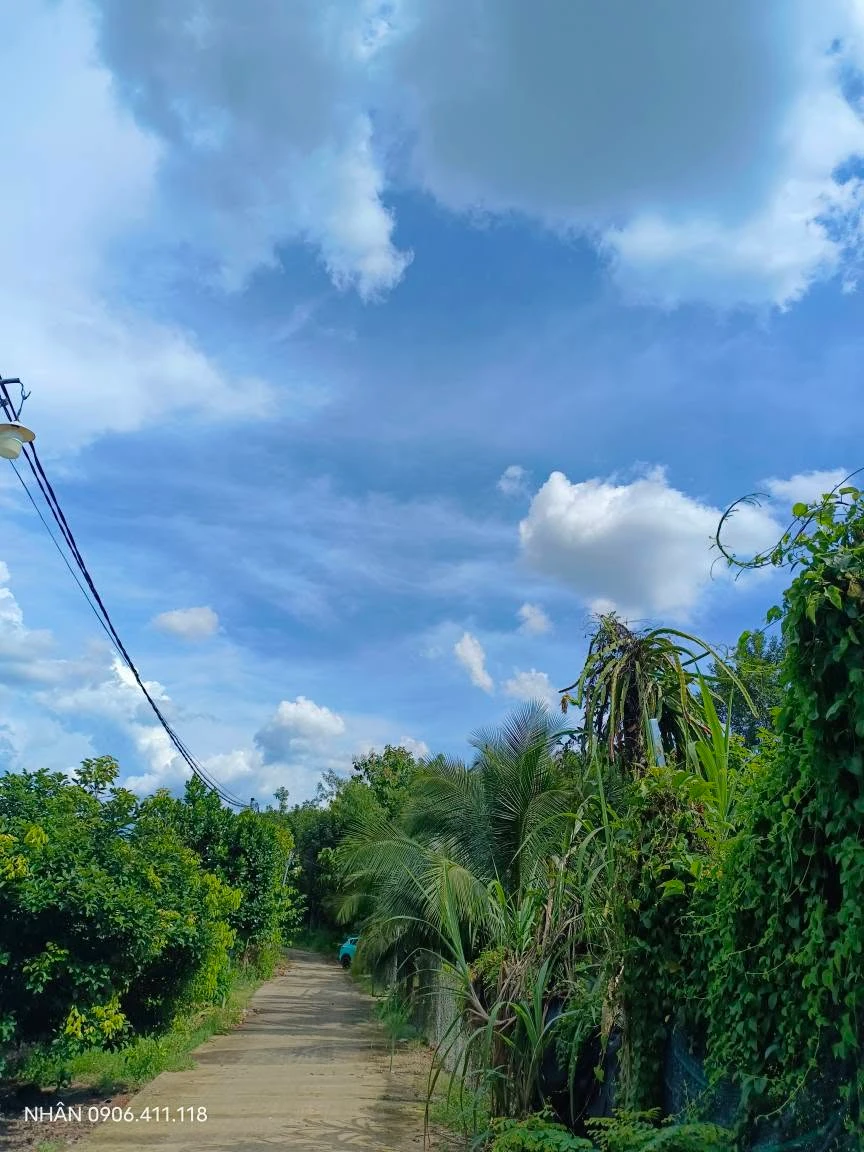 Bán đất sào Tân Thiện gần Lê Quý Đôn 1 tỷ 6 - Ảnh 1