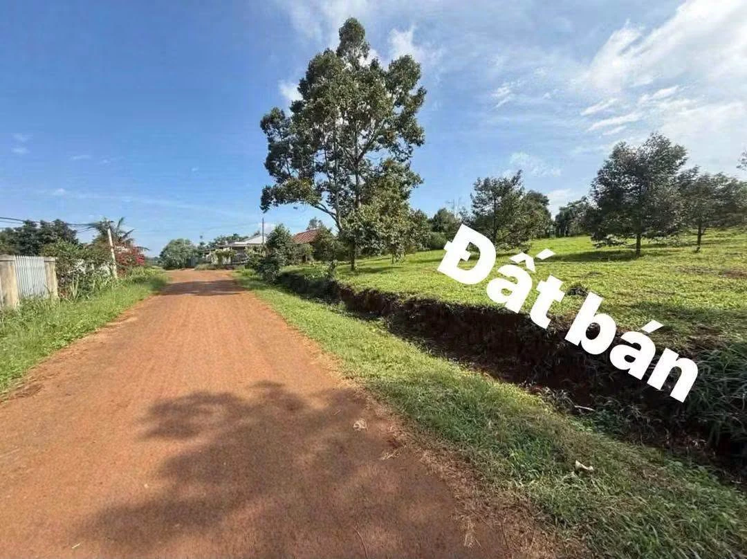 Bán đất nền 5x30m (150m²) 850 triệu Đắk Nông - Ảnh thu nhỏ 3
