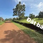 Bán đất nền 5x30m (150m²) 850 triệu Đắk Nông - Ảnh thu nhỏ 3