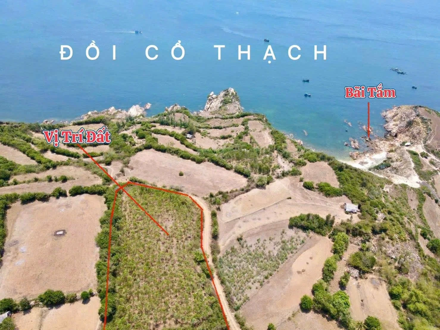 Đất view biển Đồi Cổ Thạch, Tuy An, 2.348m² - Ảnh 1