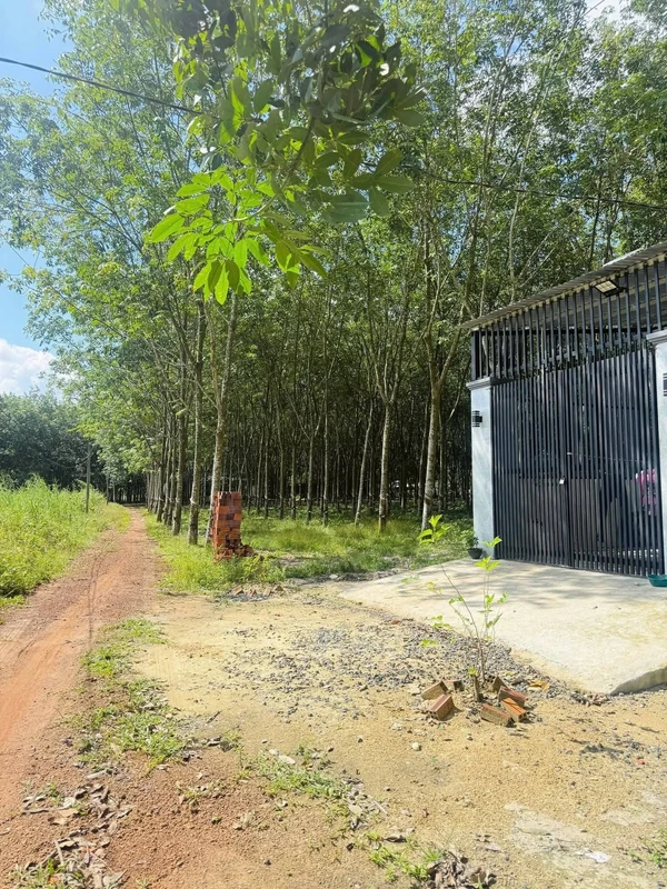 Bán đất Minh Hưng Chơn Thành 328m2 giá 295 triệu