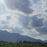 2.3 tỷ, 168m2, Đường mở rộng 24m - mặt tiền đường Số 15 - 7mx24m, sổ sẵn công chứng ngay - Ảnh thu nhỏ 2