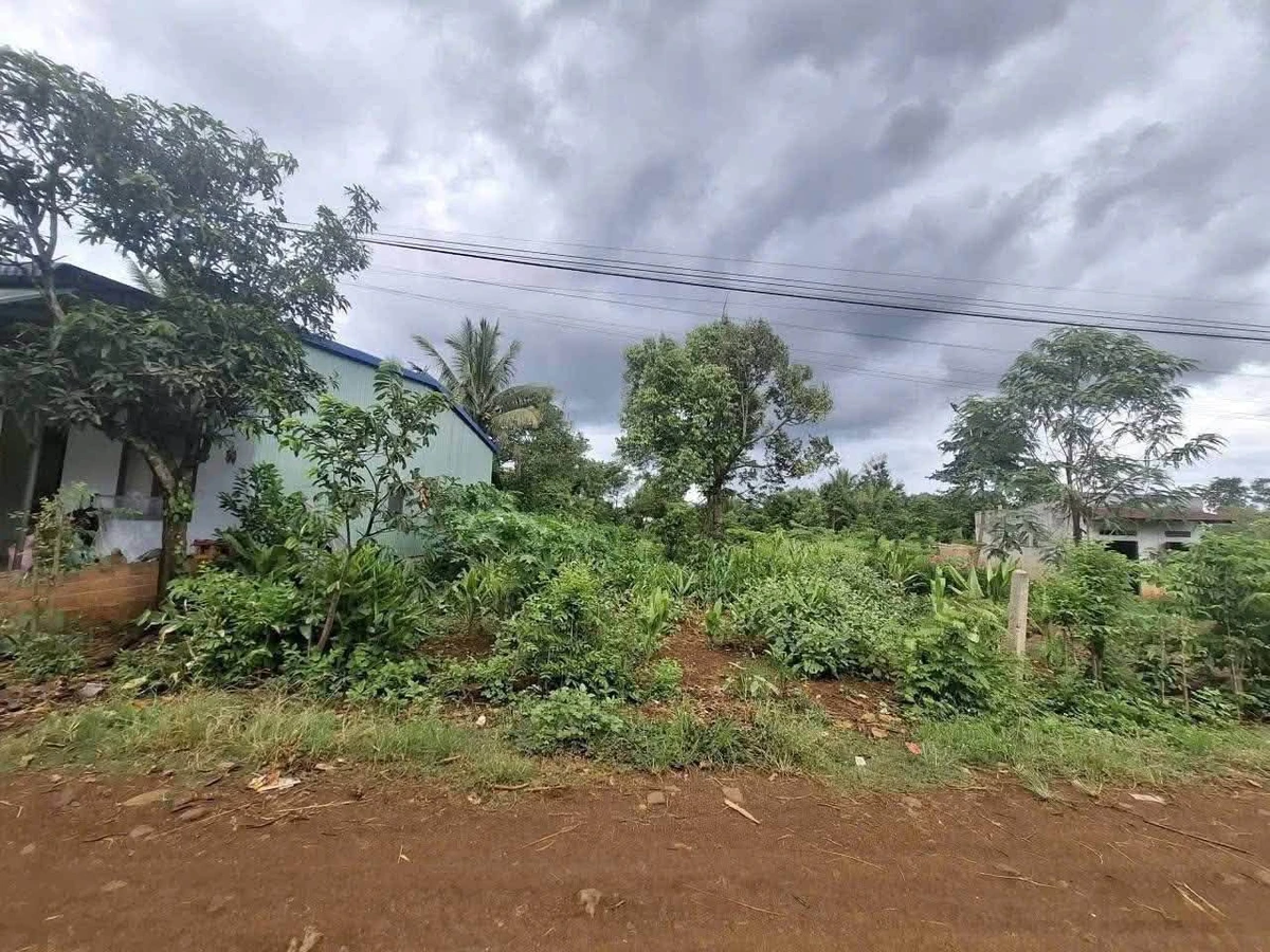 Bán 2 lô đất chân dài VIP 5×60 m² Km42 QL26 - Ảnh thu nhỏ 2