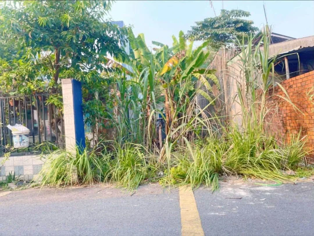 Bán lô đất thổ cư 77m2 đường nhựa nhánh đường Bà 39, Phú An giá 1,26 tỷ - Ảnh 1