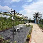 Bán nhà vườn 540m² giá 950 triệu Thủ Thừa, Long An - Ảnh thu nhỏ 2