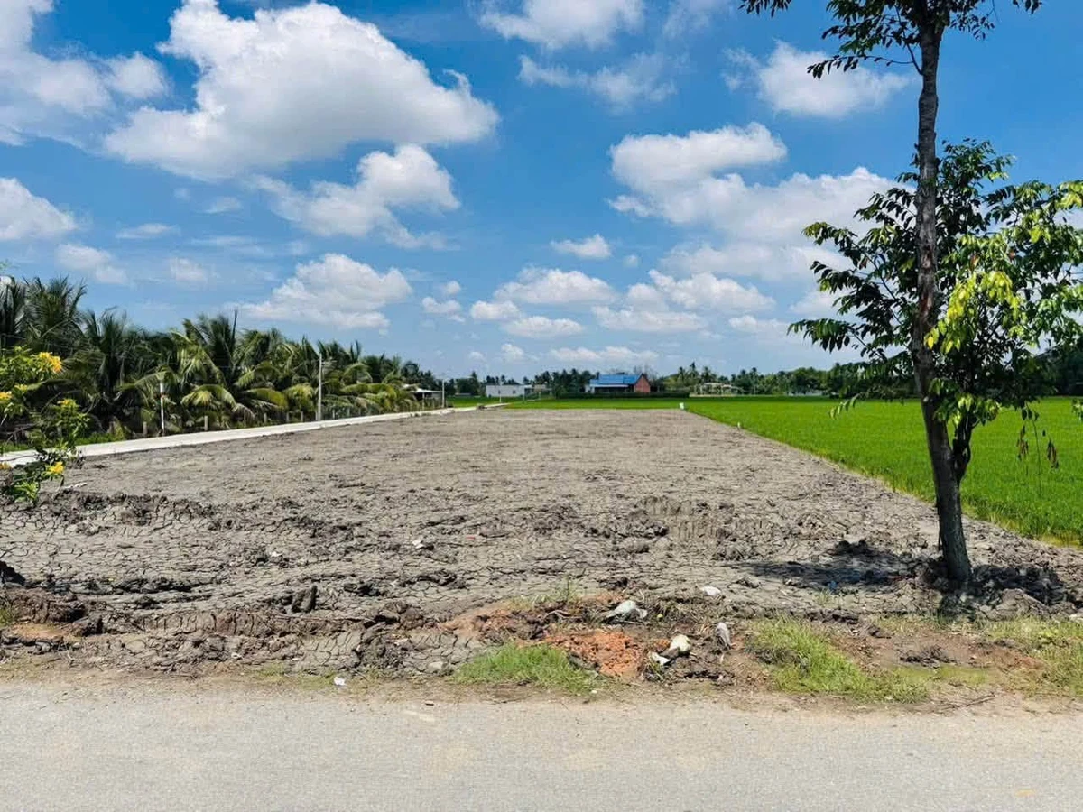 Bán đất góc 2 mặt tiền Tỉnh Lộ 833, 185m² ở Tân Trụ - Ảnh thu nhỏ 2