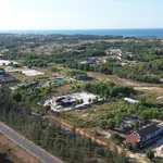 Lô đất Biển, Đối diện cổng chính khu công nghiệp Nam Cửa Việt - mặt đường trục dọc khu kinh tế - Ảnh thu nhỏ 4