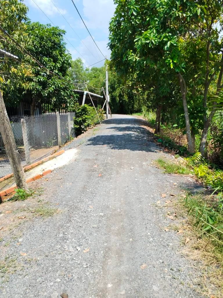 Đất vườn 500m² Thạnh Hòa Bến Lức Long An từ 395 triệu - Ảnh thu nhỏ 4