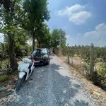 Đất nền 1000m² Lương Bình Tây Ninh, 1 tỷ 700 - Ảnh thu nhỏ 3